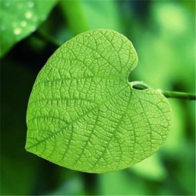 澳门网上黄金城手机app下载截图